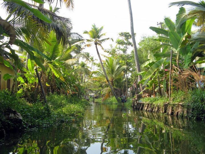 Alapatt Homestay Alappuzha Ngoại thất bức ảnh